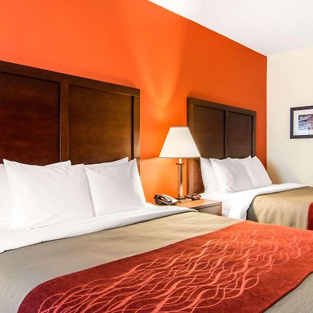 Comfort Inn&Suites Villa Rica Extérieur photo
